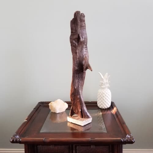 Driftwood Sculpture "Urbane" with Travertine Base | Sculptures by Sculptured By Nature  By John Walker. Item made of wood compatible with minimalism style