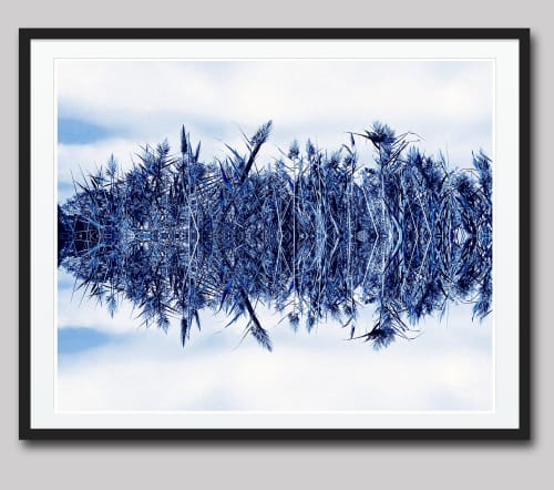 Blowing in the Wind - Sapphire | Photography by Joanie Landau