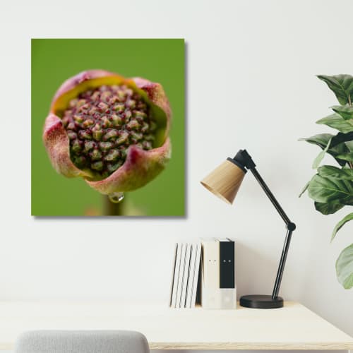 Photograph • Dogwood Blooms, Florals, Spring, PNW, Macro | Photography by Honeycomb. Item made of metal with paper