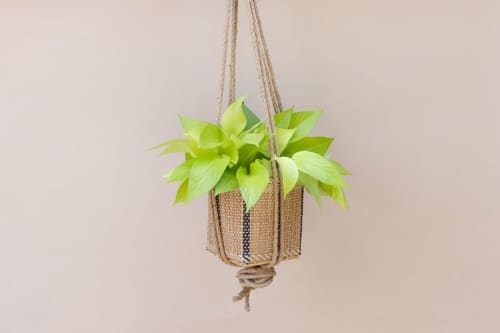 6" Neon Pothos + Hanging Planter Basket | Plant Hanger in Plants & Landscape by NEEPA HUT. Item composed of wood and fiber