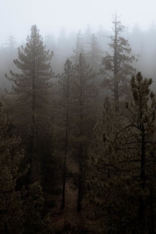 Pacific Crest Trail | Photography by Korbin Bielski Fine Art Photography