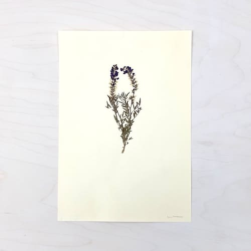 Vintage Pressed Botanical #27 | Pressing in Art & Wall Decor by Farmhaus + Co.