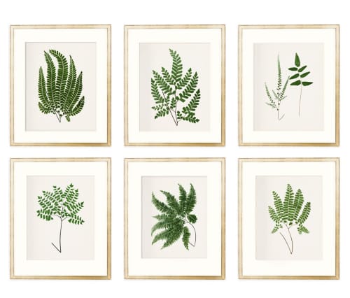 Fern Print Set, Farmhouse set of 6 fern prints, Cottagecore | Prints by Capricorn Press. Item composed of paper compatible with boho and country & farmhouse style