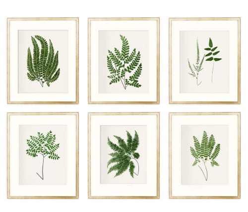 Fern Print Set, Farmhouse set of 6 fern prints, Cottagecore | Prints by Capricorn Press. Item composed of paper compatible with boho and country & farmhouse style