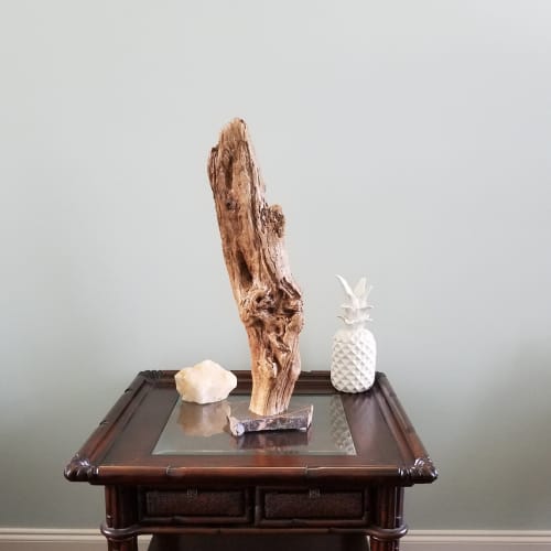 Driftwood Sculpture "Formidable" with Marble Base | Sculptures by Sculptured By Nature  By John Walker. Item composed of wood in minimalism style