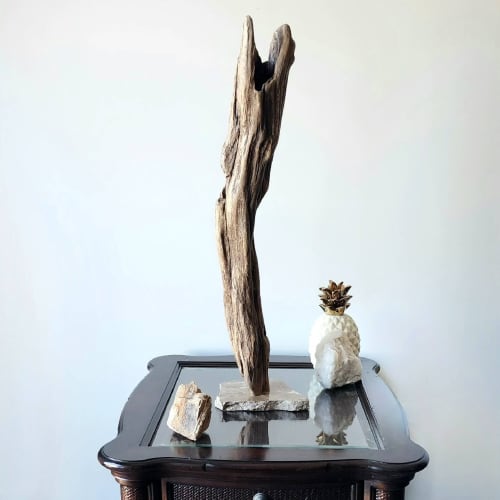 Driftwood Art Sculpture "Grounded" | Sculptures by Sculptured By Nature  By John Walker. Item made of wood works with minimalism style