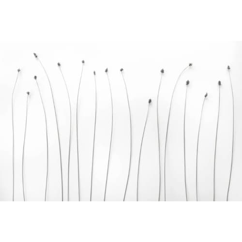 L. Blackwood - Dried Stems | Photography by Farmhaus + Co.. Item composed of paper