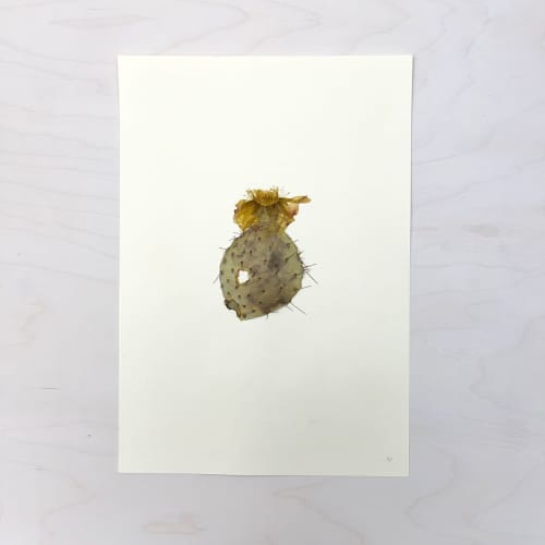 Vintage Pressed Botanical #37 | Pressing in Art & Wall Decor by Farmhaus + Co.