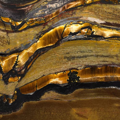 Tigers Eye | Wallpaper in Wall Treatments by Brenda Houston. Item made of fabric with paper
