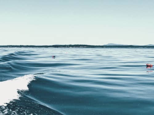 Waking Up In Maine | Photography by Neon Dunes by Lily Keller