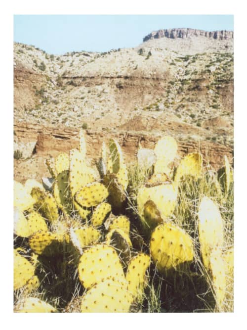 Stillness + Wind Sounds | Photography by She Hit Pause. Item composed of paper