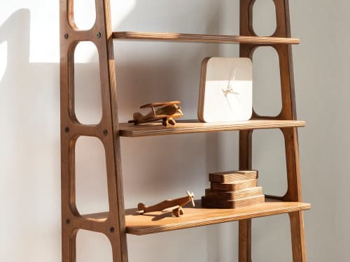 Modern ladder store bookcase