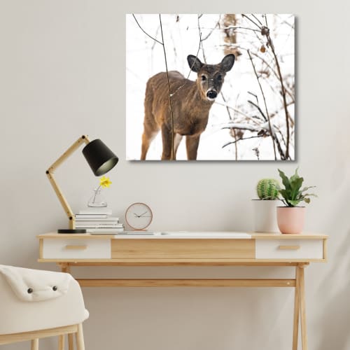 Photograph • Snowy Deer, Winter, Wildlife, Nature Photograph | Photography by Honeycomb. Item composed of metal & paper
