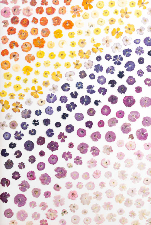 Flower fields Part 2 | Pressing in Art & Wall Decor by Sarah Ebert Art
