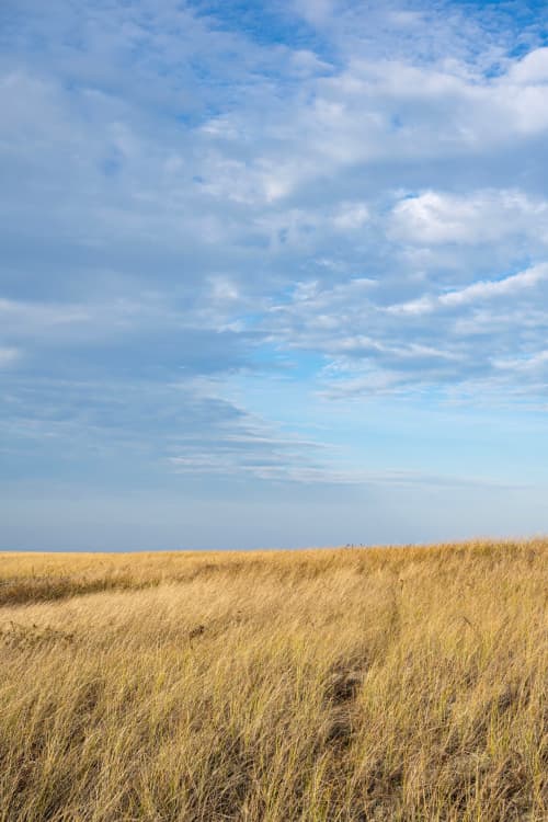 Dunes of Gold (vertical) | Prints by Neon Dunes by Lily Keller. Item composed of paper