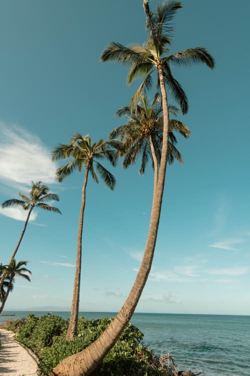 Maui Stretch | Photography by Korbin Bielski Fine Art Photography. Item made of paper