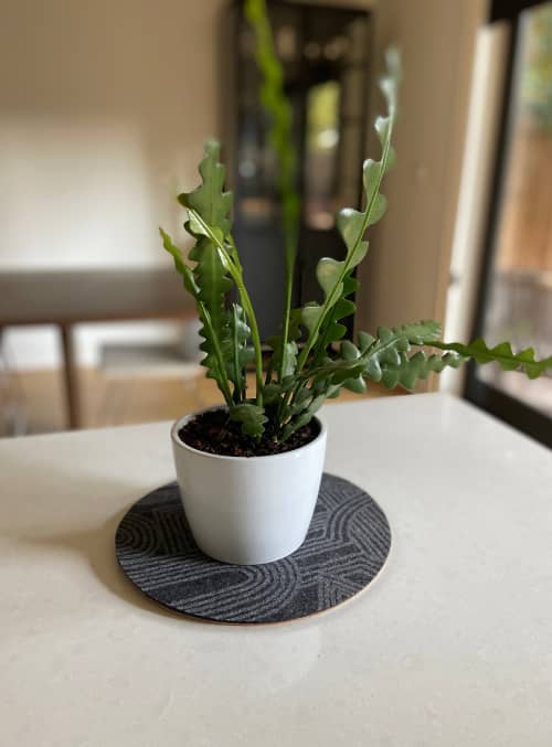 Trivet Merino Wool Felt Medium 'Rake' Charcoal | Coaster in Tableware by Lorraine Tuson