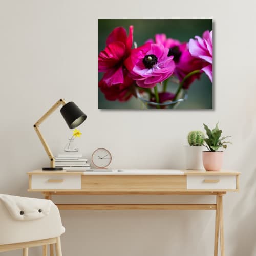 Photograph • Pink Ranunculus, Floral, Macro | Prints by Honeycomb. Item composed of metal and paper