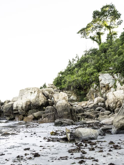 Magnolia Beach (Vertical) | Prints by Neon Dunes by Lily Keller. Item made of paper