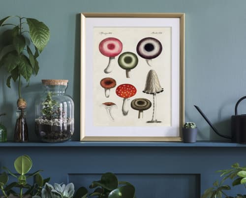 Mushroom Wall Art, Mushroom Art, Antique Victorian Mushroom | Prints by Capricorn Press. Item composed of paper compatible with boho and minimalism style