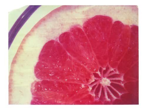 Grapefruit | Photography by She Hit Pause. Item made of paper