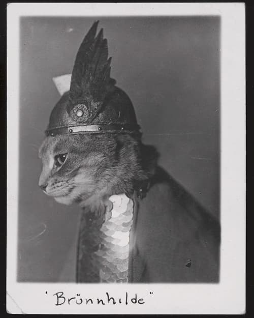 Valkyrie Cat Art Print, Brünnhilde Mythology Wall Art | Prints in Paintings by The Ugly Cat Studio
