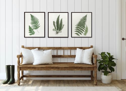 Botanical Print Set of 3, Fern Print Set, Set of Fern Prints | Prints by Capricorn Press. Item composed of paper in boho or minimalism style