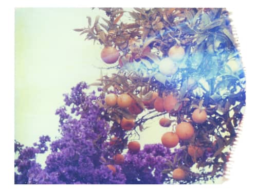 Purples + Oranges | Photography by She Hit Pause. Item made of paper