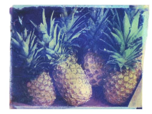 Pineapples | Photography by She Hit Pause. Item made of paper