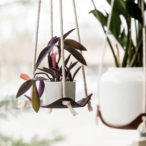 Small Leather Plant Hammock | Plant Hanger in Plants & Landscape by Keyaiira | leather + fiber | Artist Studio in Santa Rosa. Item made of cotton with leather