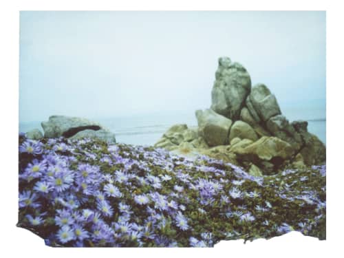 Flowers Dressed In Purple | Photography by She Hit Pause. Item composed of paper