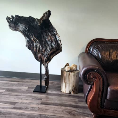 Large Driftwood Sculpture "Arboreous Capote" | Sculptures by Sculptured By Nature  By John Walker. Item composed of wood compatible with minimalism style