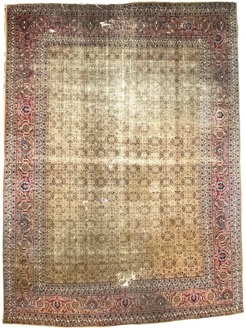 Coming Soon... MUSTARD SAFFRON & SALMON Designer Antique | Area Rug in Rugs by The Loom House. Item composed of wool