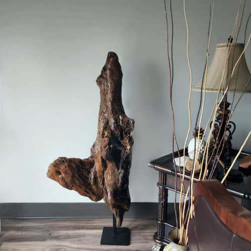 Large Driftwood Art Sculpture "The Cloddy" | Sculptures by Sculptured By Nature  By John Walker. Item made of wood compatible with minimalism style