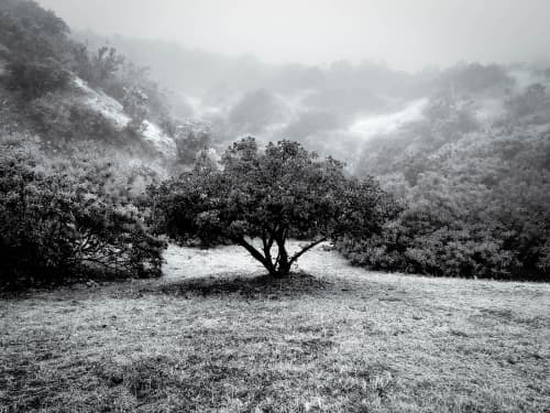 Morning Hike | Photography by Korbin Bielski Fine Art Photography. Item composed of paper