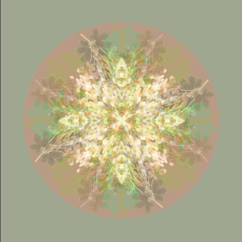 Botanical mandala #3 | Photography by Louise O'Gorman