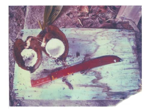Red, Blue + Coconut | Photography by She Hit Pause. Item composed of paper