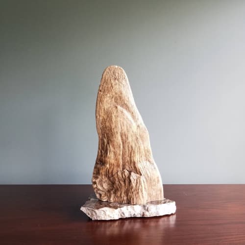 Driftwood Sculpture "Shark Pinna" with Marble Base | Sculptures by Sculptured By Nature  By John Walker. Item made of wood compatible with minimalism style