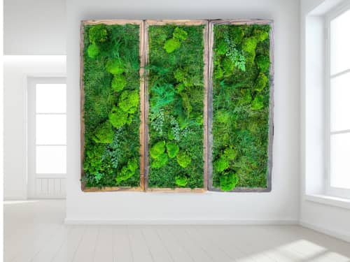 Living Wall Decor Plant Wall Art Moss and Fern Sculpture | Wall Sculpture in Wall Hangings by Sarah Montgomery