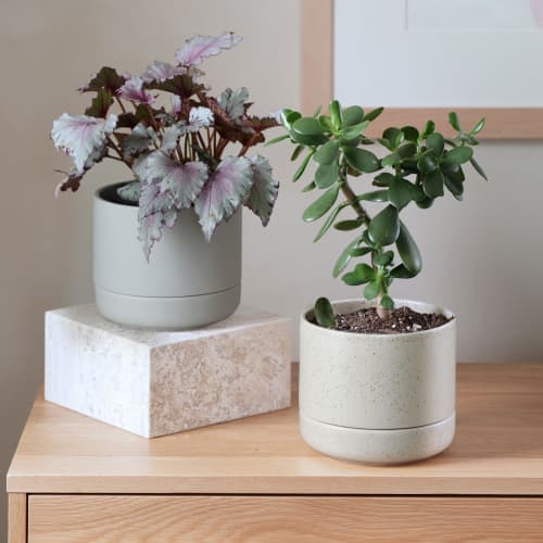 Franklin 17 Ceramic Self Watering Pot | Planter in Vases & Vessels by Greenery Unlimited. Item made of stoneware