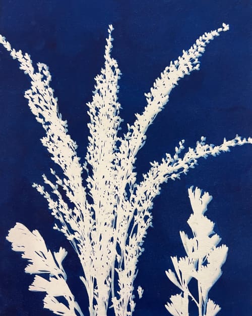 Sagebrush | Prints in Paintings by Kathy Ferguson Art