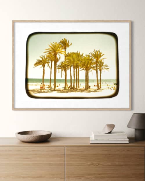 Palm Grove | Photography by Louise O'Gorman