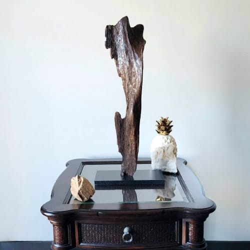 Driftwood Art Sculpture "Flapper" | Sculptures by Sculptured By Nature  By John Walker. Item composed of wood in minimalism style