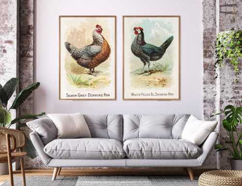 Vintage Hen Print Set of 2, Vintage Farmhouse Chicken Art | Prints by Capricorn Press. Item composed of paper in boho or minimalism style