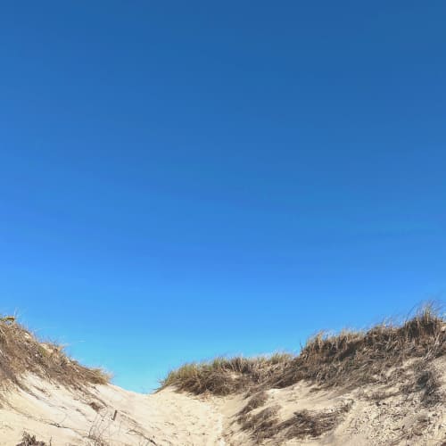 Winter Dunes | Photography by Neon Dunes by Lily Keller