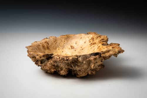 Buckeye Burl Bowl | Decorative Bowl in Decorative Objects by Louis Wallach Designs. Item composed of wood