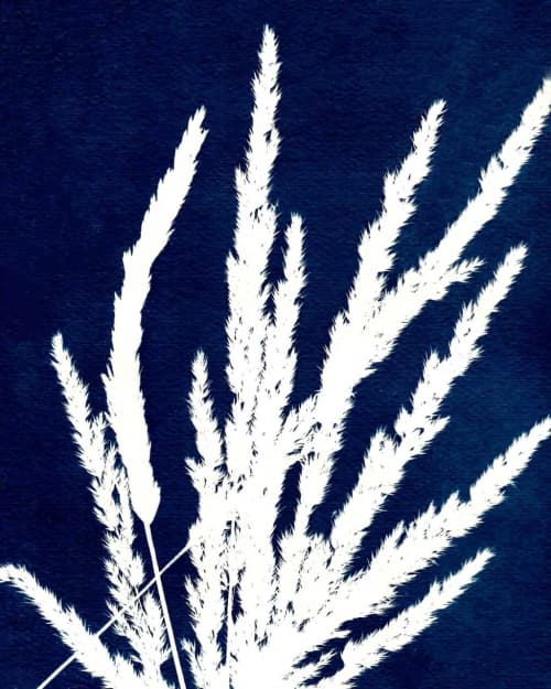 Ornamental Grass Two | Prints in Paintings by Kathy Ferguson Art