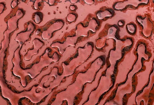 Fingerprint Mars Wall Decor | Decorative Objects by PlusObject