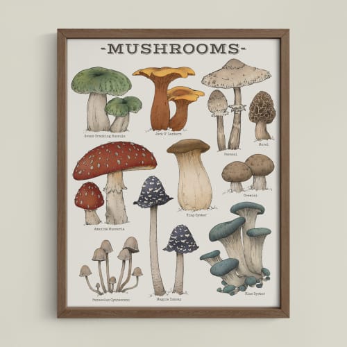 Woodland Mushrooms | Prints by The Ugly Cat Studio