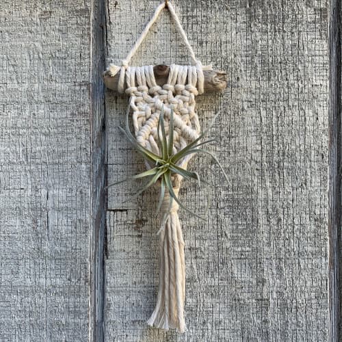 Macrame Air Plant Hanger | Plants & Landscape by Rosie the Wanderer. Item made of wood with cotton